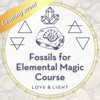 Fossils for Elemental Magic Course